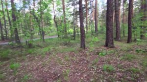 Природа Челябинского парка.Зодиак Таинственная галактика. 22.05.2022г