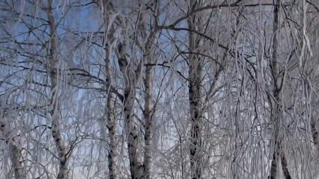 Зимняя сказка у нас смотреть онлайн