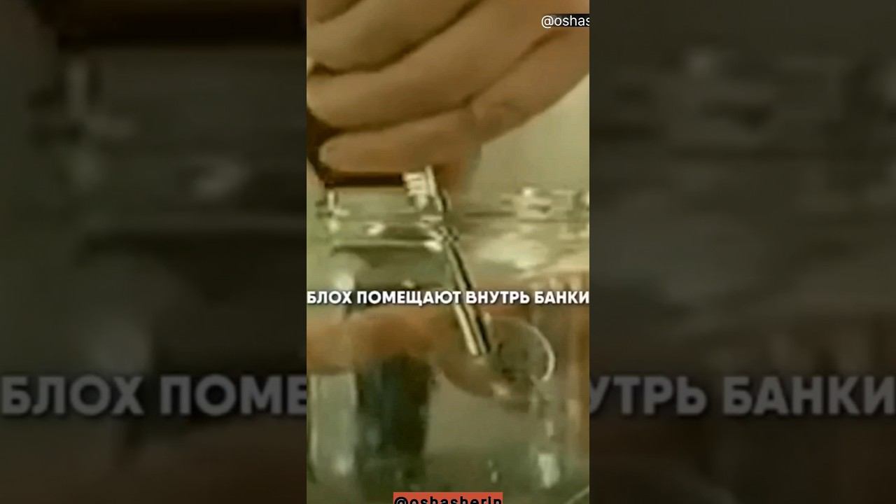 #психология #привычки #стратегияповедения