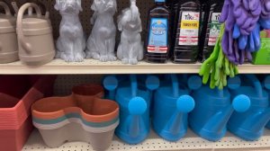 Unbelievable Dollar Store Find: The Perfect Plant Supplies