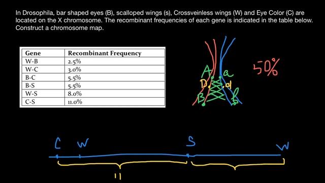 How Gene Mapping Works