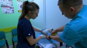 Как открыть ветеринарную клинику? VetExpert. Полтава. #ветеринарполтава
