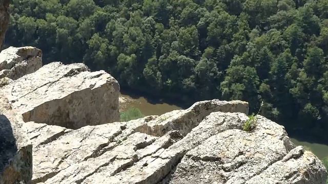 шёчки дарданеллы река Тигровая смотреть онлайн