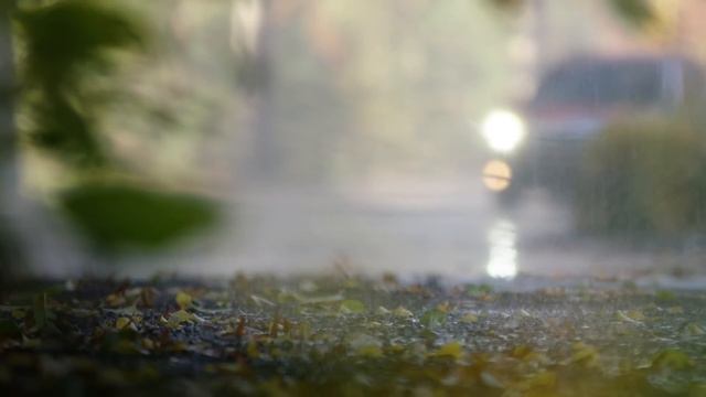 The All-New 2019 Subaru Forester SUV  New Model Walkaround