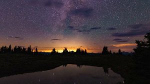 Удивительное чтение сур Хамза Будиб