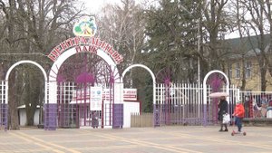 5-летняя девочка упала с лошади и слома позвоночник в Ставрополе