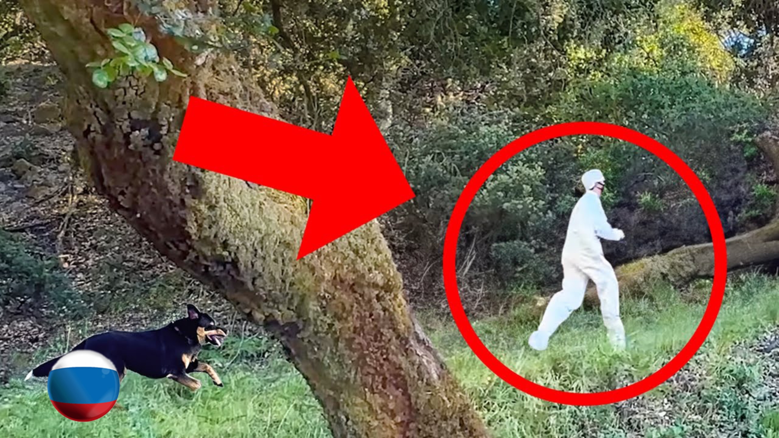 [Mark Rober] Как Убежать от Полицейской Собаки-Ищейки [Марк Робер] смотреть онлайн