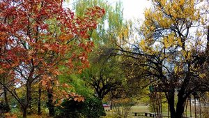 Под сурдинку.   C.Чёрный/А.Градский