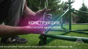 КРЕМЛЕВСКАЯ - ствольная сосна с хвоей из игольчатой леской