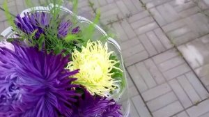 Букет астры красивый