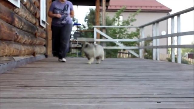 Алмазный Источник Виноградная Лоза смотреть онлайн