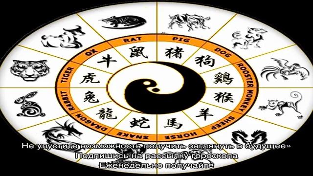 Знаки зодиака по Китайскому календарю: описание и характеристика смотреть онлайн
