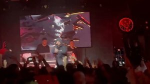 SIDODGI DUBOSHIT -  Live at Saint Petersburg (04.11.23)