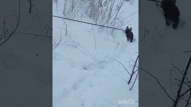 Учимся ходить правильно смотреть онлайн