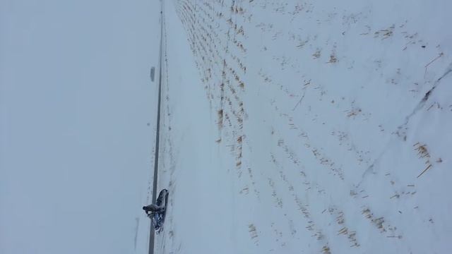 Tylers dads bearcat 570 lol смотреть онлайн