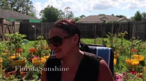 ?????? США - Быт американских миллионеров - Еда и рестораны - Яхты - Спорт - FloridaSunshine