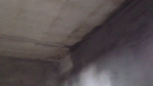 Электрозаводская, 87 - Единство, Рязань