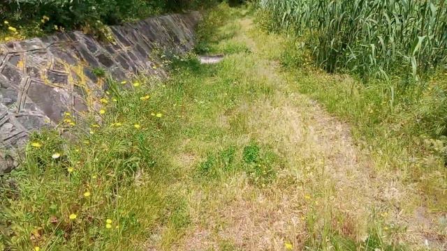 СИЦИЛИЯ . ЗНАКОМЛЮ СО СВОИМИ МЫСЛЯМИ.😜😜 смотреть онлайн