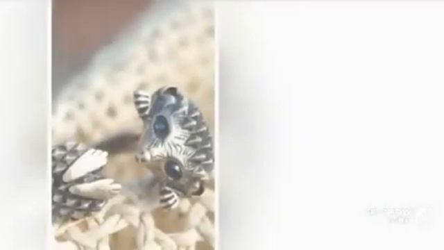 Камни сваровски смотреть онлайн