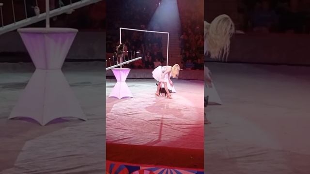 Давно не был в цирке. Приятное зрелище, есть на что посмотреть ?