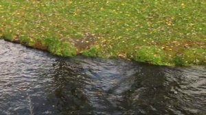 Везёлка. Река города Белгород. River Vezelka, city of Belgorod.