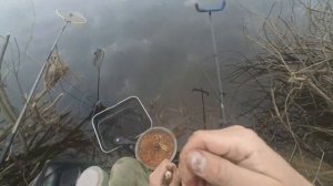 Открытие фидерного сезона на реке Угре в Калужской области, апрель 2023