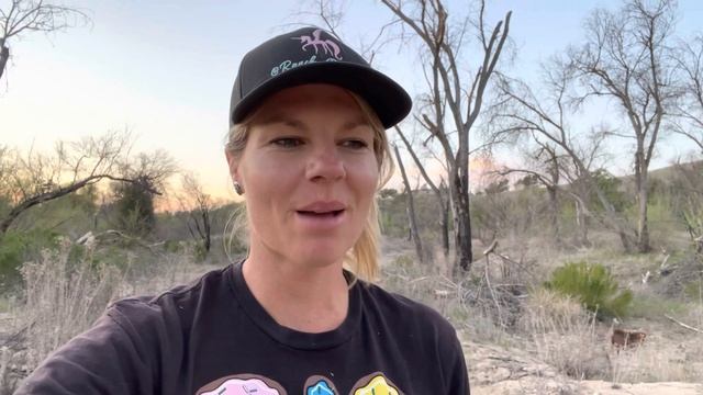 Why I DONT dock tails on my Australian Shepherds смотреть онлайн