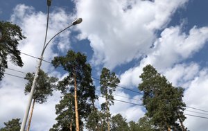 «Великая Победа - вечная память поколений!»
«С песней сквозь войну к Победе!»