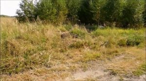 УАЗ 39094 (полбуханки) - мое хобби