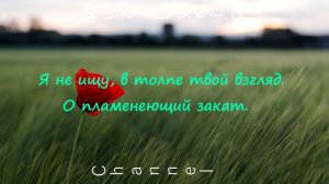 Alekseev-пьяное солнце (текст песни) Muz Lyric