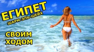 Летим в Шарм Эль Шейх своим ходом! Египет дешевле чем горящий тур!