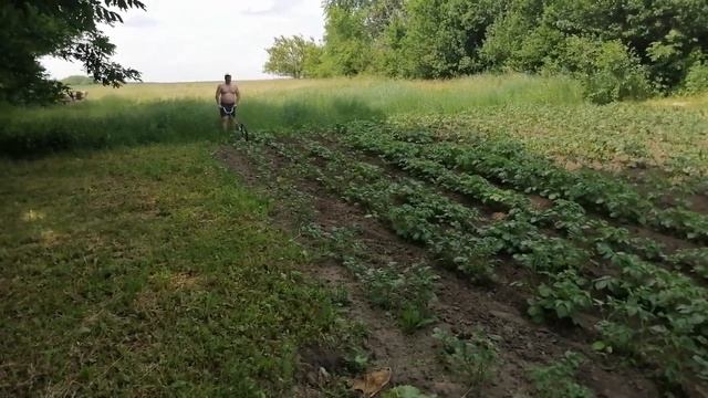 Прополка картошки по-нашему! смотреть онлайн