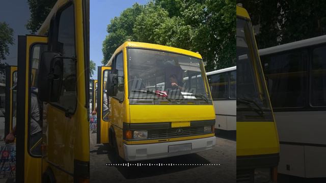 Водитель автобуса бесплатно вывозил с пляжа в Севастополе оказавшихся под обстрелом раненых