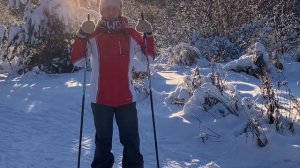 Правильная техника конькового хода на лыжах