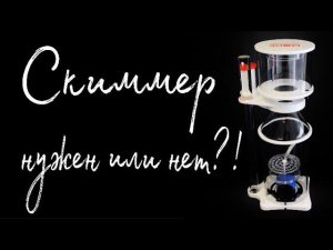 Скиммер (плюсы и минусы) | Морской аквариум