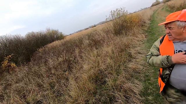 Загонная ОХОТА. 22 октября 2022г. смотреть онлайн