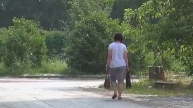 Горожан атаковала тополиная моль смотреть онлайн