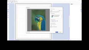 CanvasWorkspace для ПК. Как работать с функцией расширенной трассировки изображений.