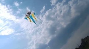 Воздушный змей с печатью по ткани