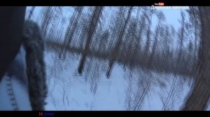 Охота в Якутии/ За двумя зайцами / Петли сработали.