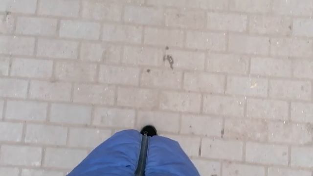 Буктрейлер: Пушкин "Лирика" смотреть онлайн