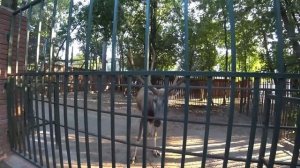 Ника в городе Нижний Новгород!Куда сходить,что посмотреть за 3 дня.Привет,я Ника!