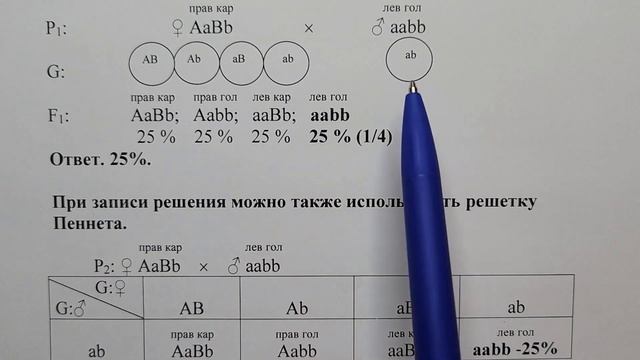 Генетика. Задачи. Часть 4. Дигибридное скрещивание (полное и неполное доминирование). смотреть онлайн