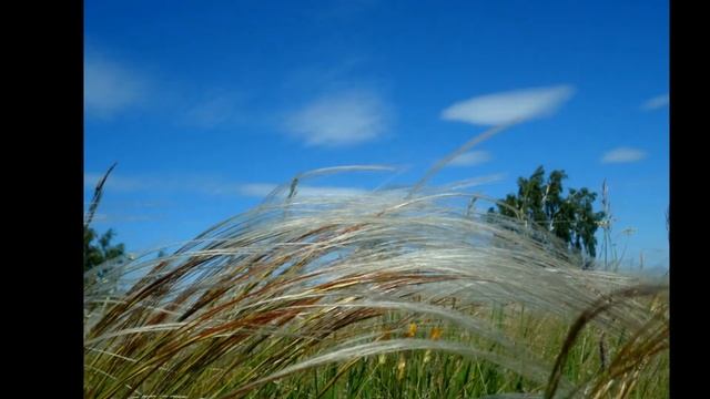 По следам былых воспоминаний. Из цикла "Тихая моя родина" село мирное. смотреть онлайн