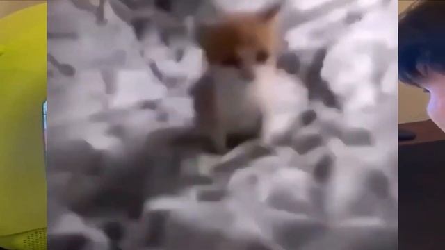 ЧТО ПОДАРИТЬ ДЕВУШКЕ НА 8 МАРТА?