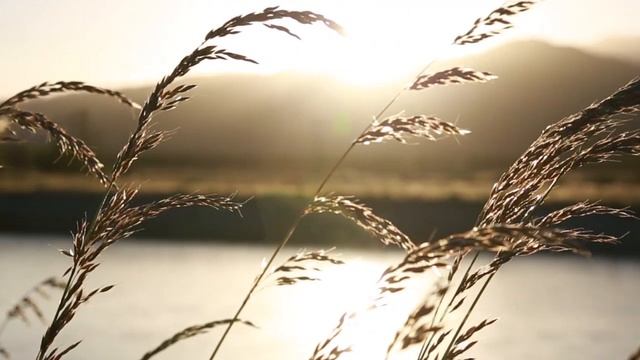 Практика "Картина мира родителей" .mp4 смотреть онлайн