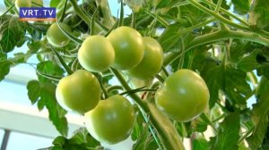 Экскурсия по агрокомплексу _Иванисово_