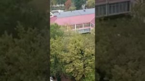 Геленджик,санаторий "Голубая даль".