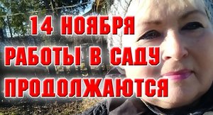 14 ноября. Vlog. Работы в саду продолжаются.mp4