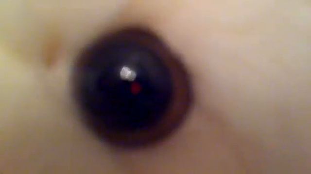 Медведь белый " Обними меня " 72 см. смотреть онлайн